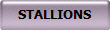 STALLIONS